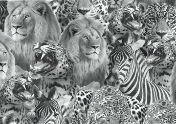 Wild animals knit
